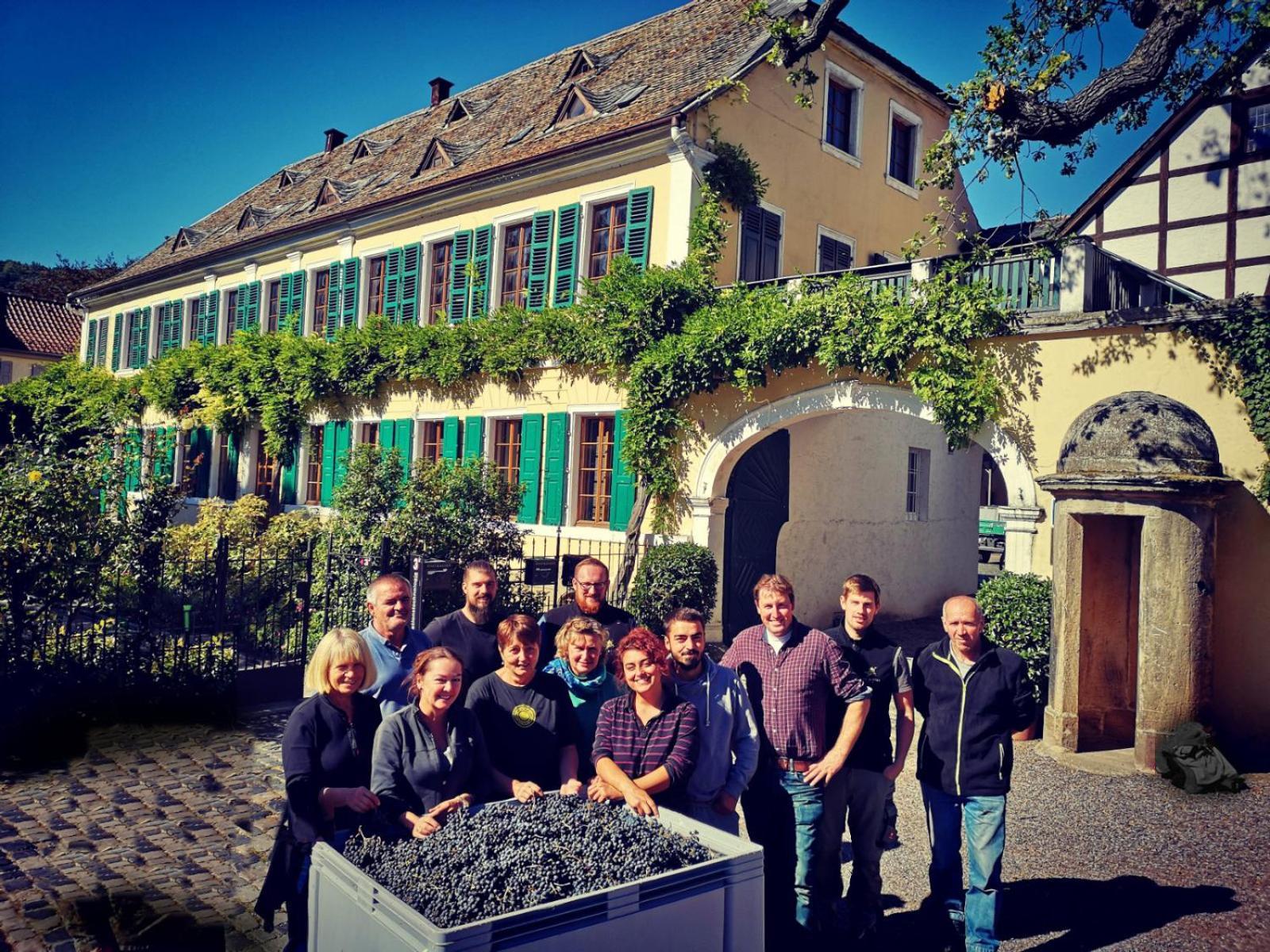 Unterkunft Im Weingut Fitz-Ritter 巴特迪克海姆 外观 照片