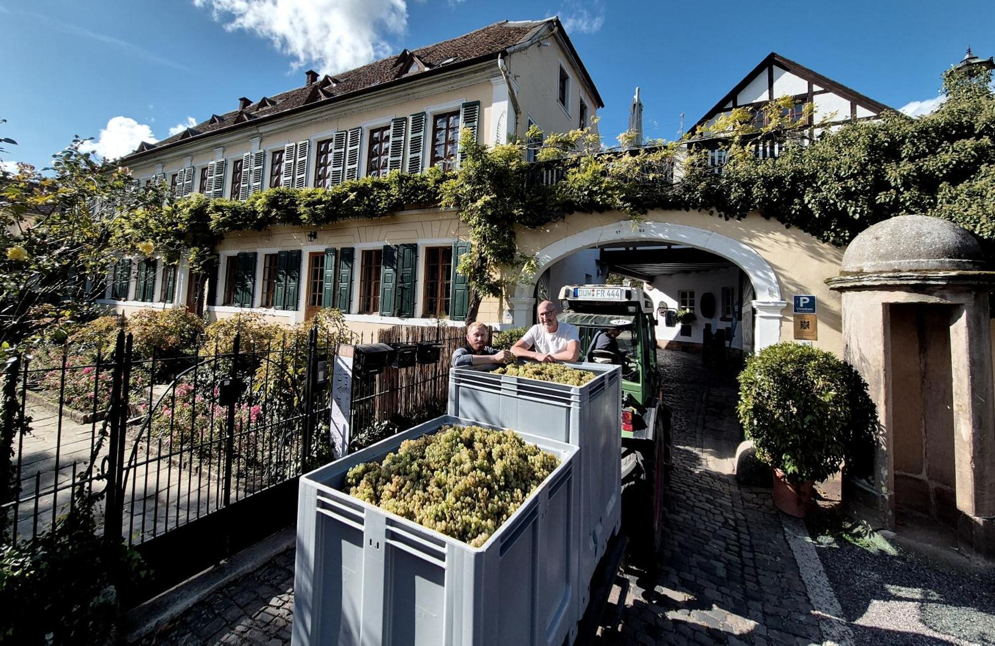 Unterkunft Im Weingut Fitz-Ritter 巴特迪克海姆 外观 照片